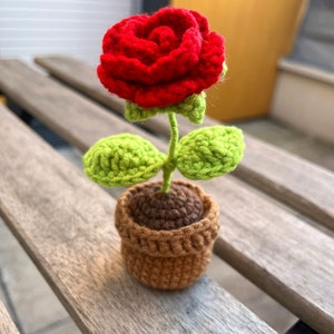 Peut inclure: Une rose rouge en crochet avec des feuilles vertes dans un pot brun. La rose est une seule fleur avec plusieurs couches de pétales. Le pot est d'une couleur brune simple avec une surface texturée.