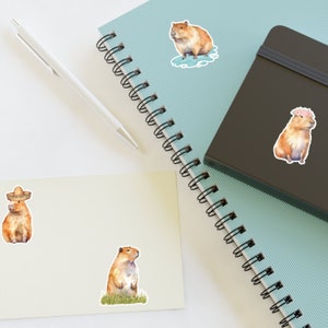 Capybara Sticker Sheets, Cute Animal Vinyl Decal Set