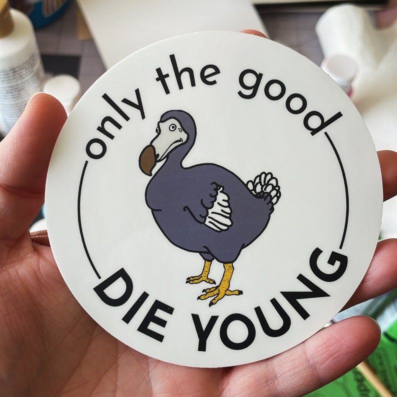Dodo Sticker Stickers, Dodo, Animal Art, Animal Stickers, Funny Stickers, Funny ...