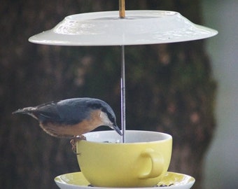 Feeding cups