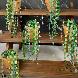 May include: Several small terracotta pots filled with green, leafy plants and cascading strings of green and clear beads. The pots are arranged on a dark wooden tiered shelf, with a marble-patterned background.