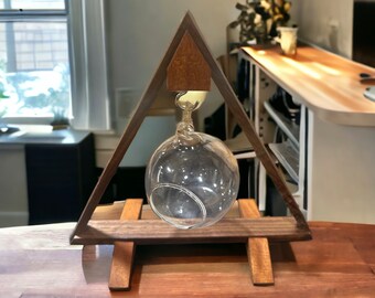 Air plant holder