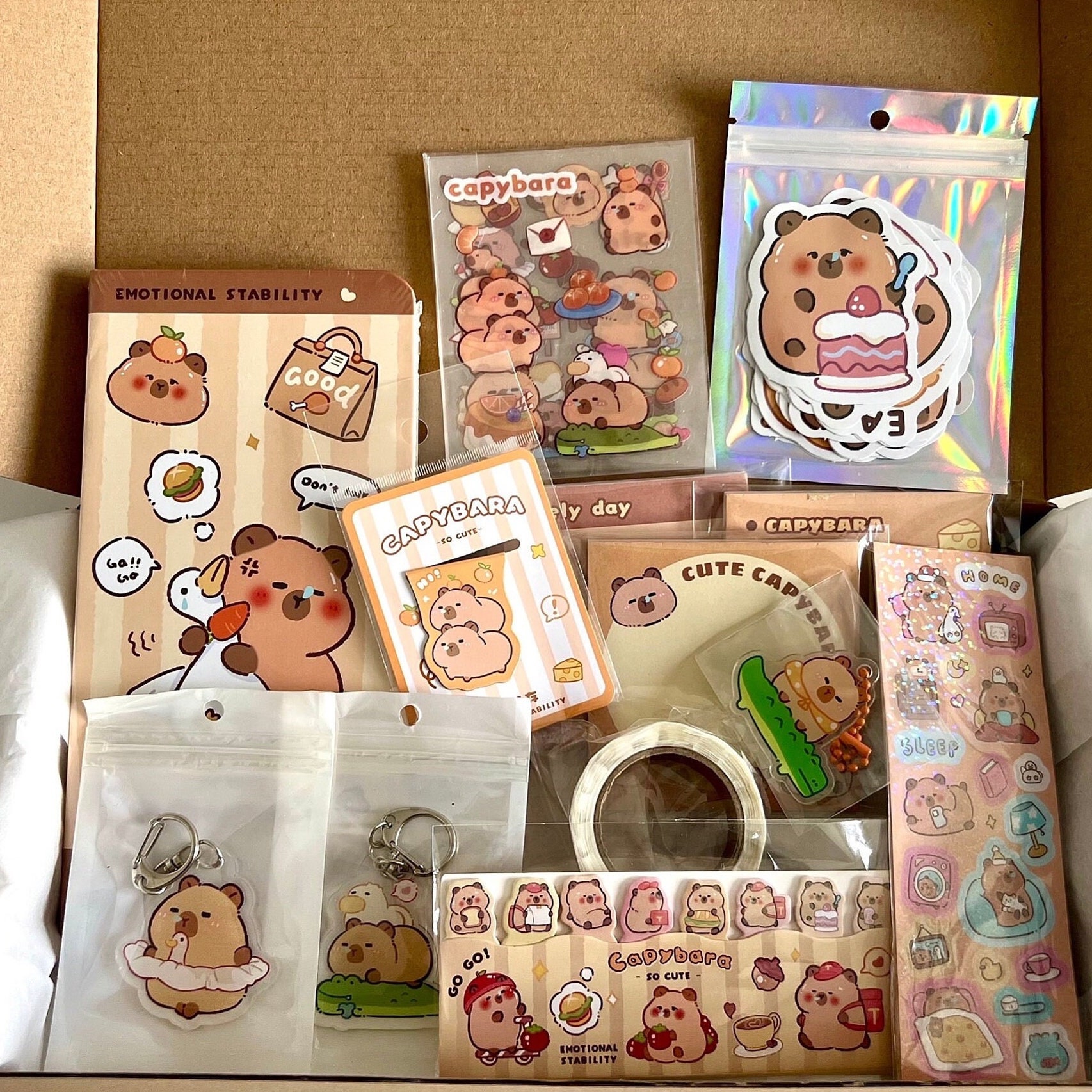 Capybara Stationery Box | Cute Stationery (13 Items) | Scrapbooking Stickers | | Laptop Stickers | Memo Pads | Planner