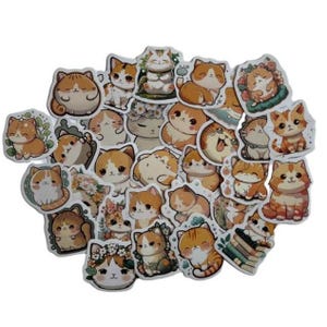 Stickers chat orange | Stickers pour ordinateur portable | Stickers scrapbooking