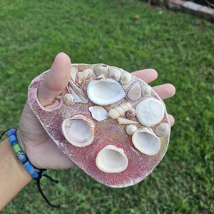 Shell Paint Pallet