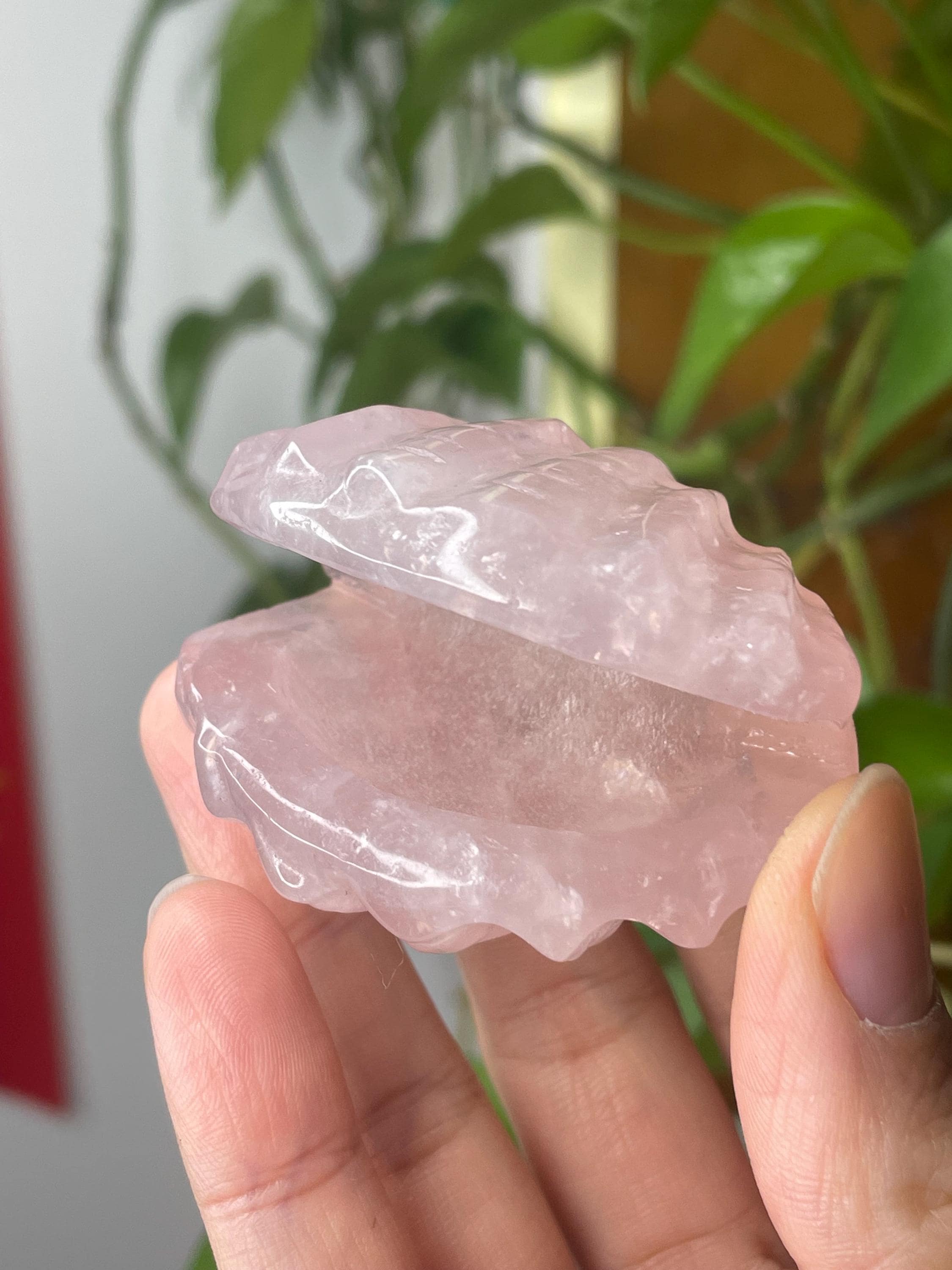 かわいいローズクォーツシェル彫刻 // スタイルC - Etsy 日本