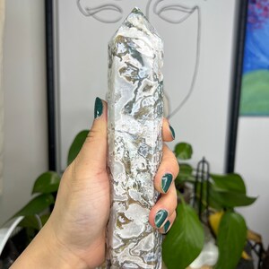 Può includere: Una punta di cristallo di agata bianca e verde con un motivo a spirale unico. Il cristallo è lucidato e ha una finitura liscia e lucida.
