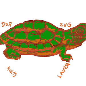 May include: A stylized illustration of a turtle in shades of green and brown. The turtle's shell is a mosaic of green and brown, with the text "DXP", "SVG", "MULTI", and "LAYER" in orange.