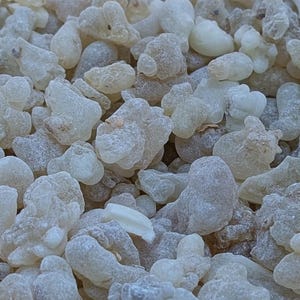 Résine De Boswellia Sacra - Premium, tradition millénaire, à mâcher ou pour infusion