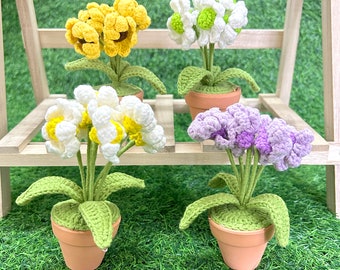 Handmade Daisy of Valley Flower Pot，Crochet Flower，Caring Gift for Women，Desktop decoration，Office Decor, Mother's Day