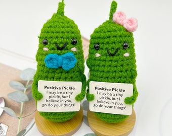 Handmade Crochet Pickle, Positive Pickle, Emotional Support Gift,Spring Decor,Mental Health Gift, Customized gifts
