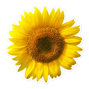 Sticker pour ordinateur portable sans bulles de tournesol