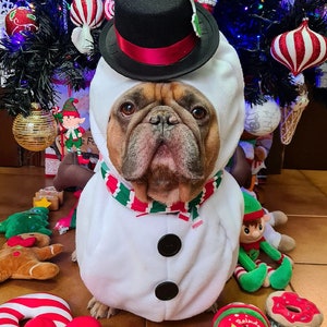 Dog snowman cheap outfit