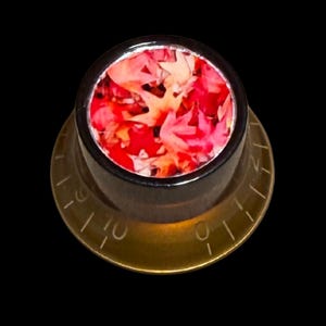 Puede incluir: Un mando de control circular con una base de color ámbar translúcido que presenta marcas numéricas grabadas del 0 al 10. La superficie superior está incrustada con un patrón vibrante de hojas de arce otoñales rojas, naranjas y amarillas.