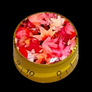 Puede incluir: Un mando de control circular amarillo con una superficie superior decorada con un patrón vibrante de hojas de arce otoñales rojas, naranjas y amarillas. El lateral del mando muestra marcas numéricas negras del cero al diez.