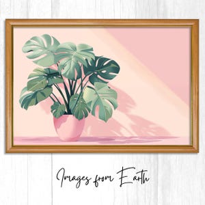 May include: A framed print featuring a watercolor illustration of a Monstera plant in a pink pot. The plant has large, green leaves. The background is a soft pink with a shadow. The text "Images from Earth" is at the bottom.