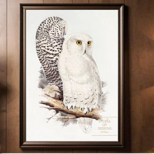 Snowy Owl Art Print | Winter Wonderland | Majestic Snowy Owls | Wildlife Art Print | PRINTABLE Digital Wall Art