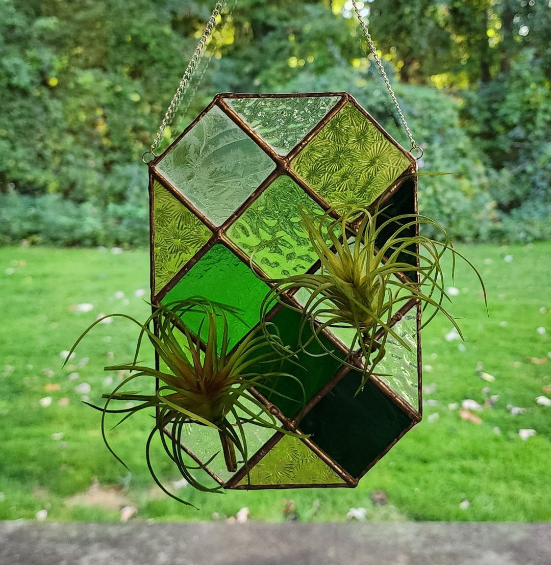 Stained Glass Air Plant Window Hanger Large Holds Two Air Etsy