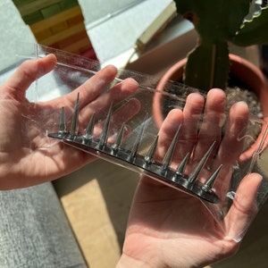 May include: A silver-colored hair comb with sharp, conical spikes. The comb is held in a clear plastic package. The spikes are evenly spaced along the comb's base. The background includes a window and a potted plant.