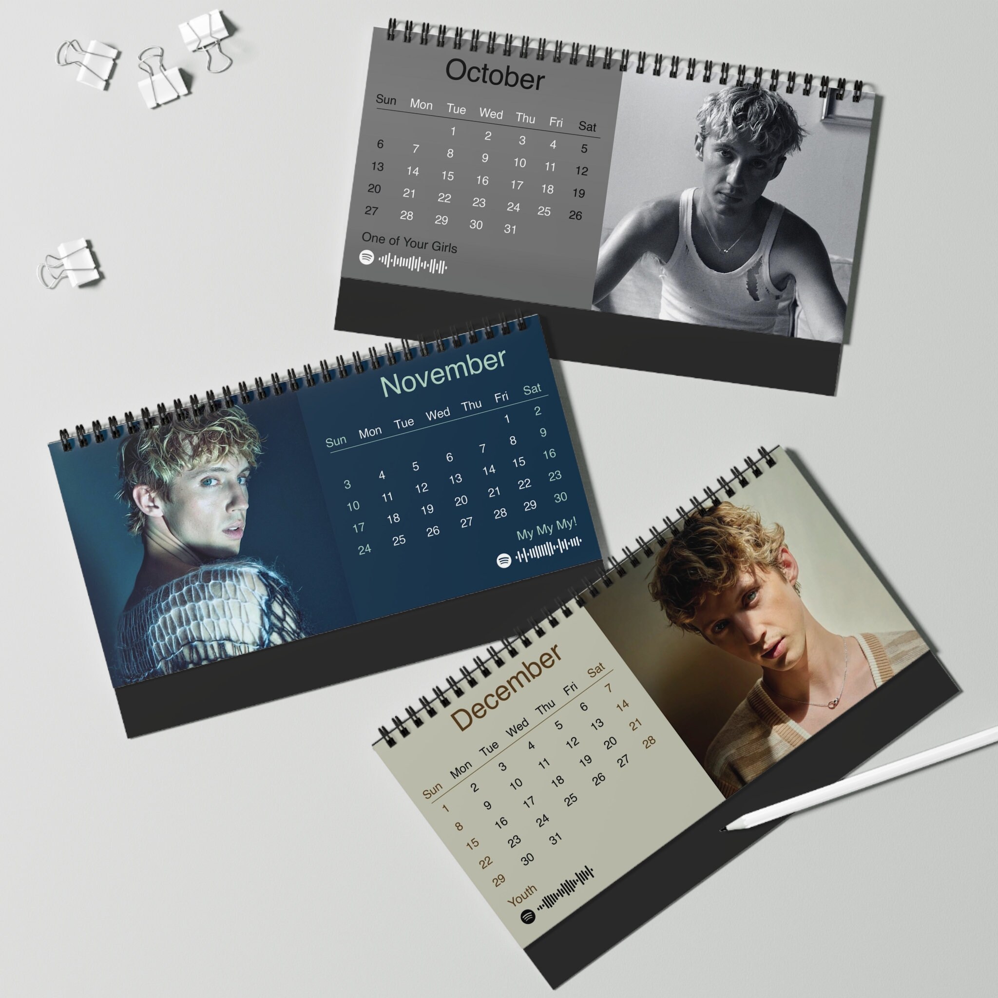 2024 Troye Sivan Desk Calendar 2024 Desk Calendar Troye Sivan sold