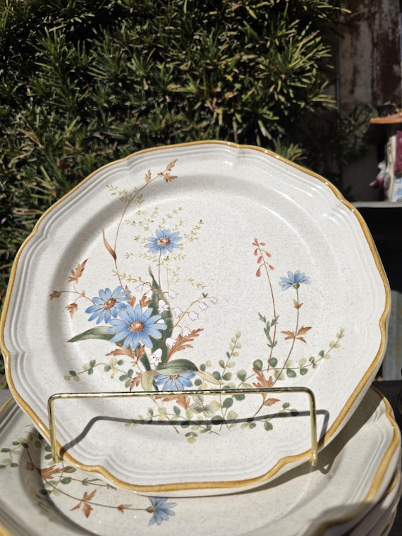 Vintage Mikasa Blue Daisies EB804 10.5” Dinner Plates and 8