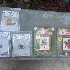 May include: Several cross-stitch kits are displayed, including designs of a snail, a ladybug, and a beetle. Two kits feature floral patterns, one labeled "Nutmeg" and the other "Strawberry." The kits are packaged in plastic and are ready for stitching.