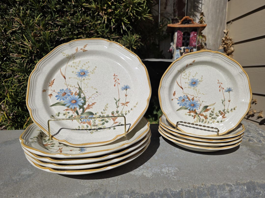 Vintage Mikasa Blue Daisies EB804 10.5” Dinner Plates and 8