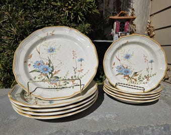 Vintage Mikasa Blue Daisies EB804 10.5” Dinner Plates and 8