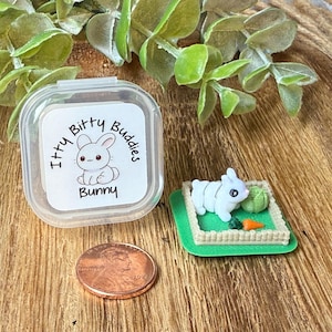 Miniature Bunny Playset: Itty Bitty Buddies 3D Printed Tiny Desk Pet Animal Fidget Toy