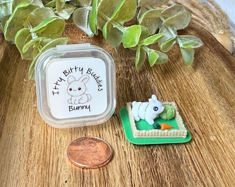 Miniature Bunny Playset: Itty Bitty Buddies 3D Printed Tiny Desk Pet Animal Fidget Toy