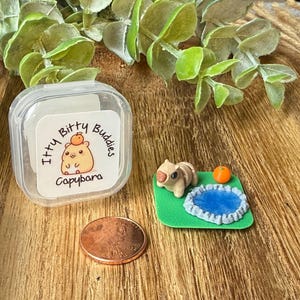 Miniature Capybara Playset: Itty Bitty Buddies 3D Printed Tiny Desk Pet Animal Fidget Toy