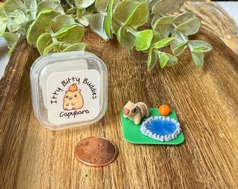 Miniature Capybara Playset: Itty Bitty Buddies 3D Printed Tiny Desk Pet Animal Fidget Toy