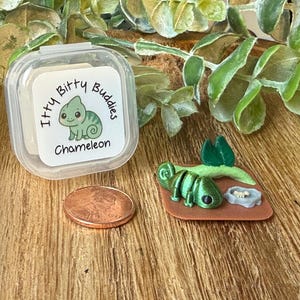 May include: A small clear plastic container with a label reading Itty Bitty Buddies Chameleon, a copper penny, and a miniature green articulated chameleon figurine with a small gray food bowl on a brown square base.