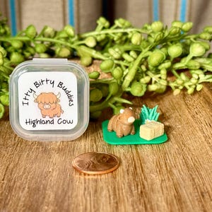 May include: A miniature brown Highland cow figurine on a green base with a small hay bale and green grass, accompanied by a clear plastic container labelled Itty Bitty Buddies Highland Cow, positioned next to a copper-coloured coin for scale.