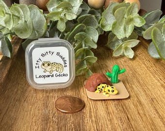 Może przedstawiać: Miniaturowa scena pustynna z żółto-czarnym gekonem lamparcim, brązową skałą i zielonym kaktusem. Obok znajduje się przezroczyste plastikowe pudełko z napisem "Itty Bitty Buddies Leopard Gecko".