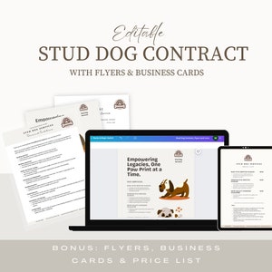 Stud Dog Contract, Stud Dog Flyer, Breeder Puppy Contract, Dog Breeder Contract, Dog Breeder Forms, Breeder Form, Editable CANVA
