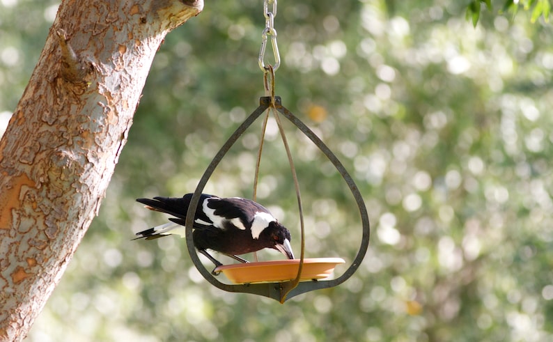 Traditional shape bird feeder image 2