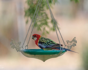 Blue Wren Hanging Bird Feeder