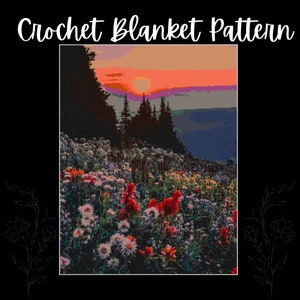 May include: A crochet blanket pattern featuring a sunset over a field of wildflowers. The pattern includes a variety of colors, including red, orange, yellow, green, and blue.