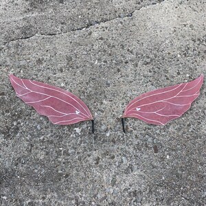 Könnte beinhalten: Ein Paar rosa Feenflügel mit weißen Aderdetails und einem Drahtrahmen. Die Flügel bestehen aus einem durchscheinenden Material und sind zum Tragen bestimmt. Die Flügel liegen auf einer grauen Betonoberfläche.