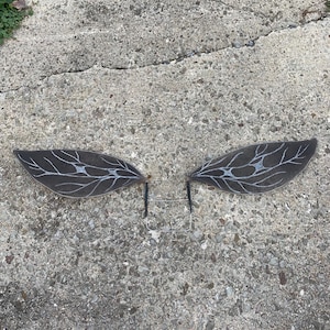 Peut inclure: Une paire d'ailes de fée gris foncé avec des détails blancs en forme de veines. Les ailes sont faites d'un matériau translucide et sont fixées à des tiges noires. Les ailes sont posées sur une surface en béton grise.