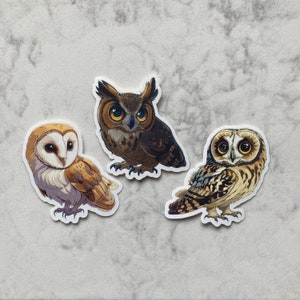 Lot de 3 : autocollants chouette mignon • Stickers chouette chibi Anime brillant • Stickers hibou grand duc, effraie des clochers et hibou des marais