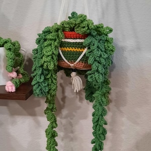 May include: A crocheted hanging planter with green leaves and a multi-colored striped pot. The planter is hanging from a white cord with a wooden bead.