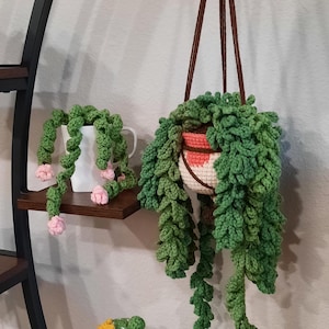 Puede incluir: Planta colgante de ganchillo con hojas verdes y una maceta blanca y rosa. Una planta de ganchillo más pequeña se encuentra en un estante, junto con un cactus de ganchillo en una taza blanca. Las plantas se exhiben en un estante de metal y madera oscura.