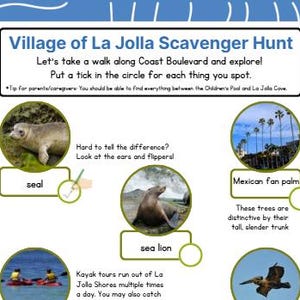 Le pont GO San Diego | Chasse au trésor pour enfants accompagnant la carte La Jolla Coast & Cove - Travel Adventure