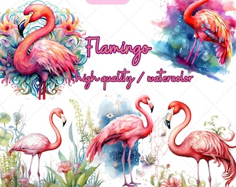 Clipart de flamenco en acuarela: Imágenes PNG de aves tropicales (descarga digital)