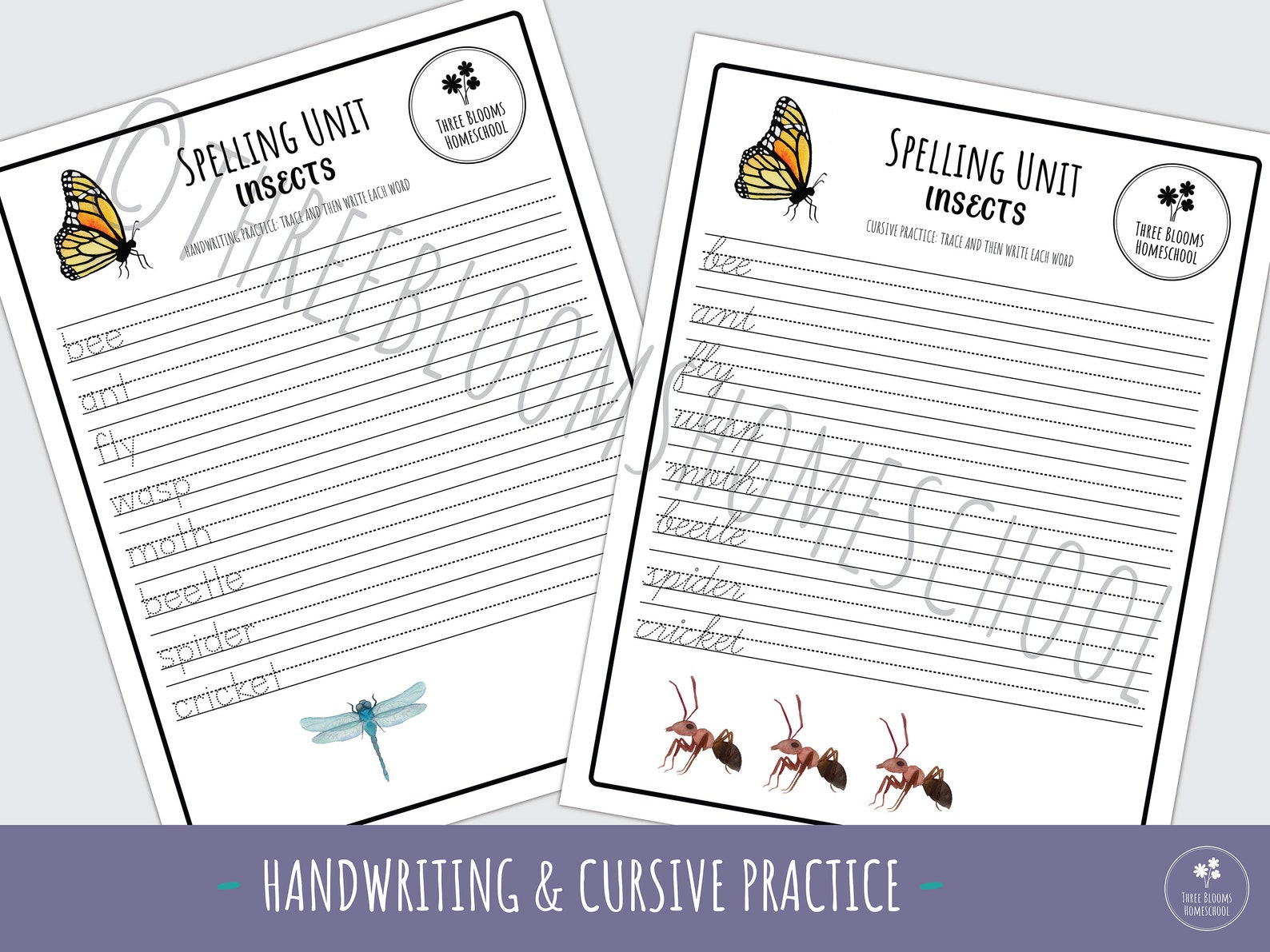 Spell Insects Insects Spelling Unit: Homeschool Printable Worksheets (digital ...