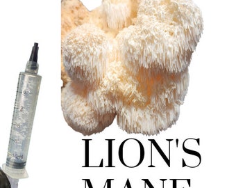 Lion's Mane (Hericium erinaceus) Liquid culture