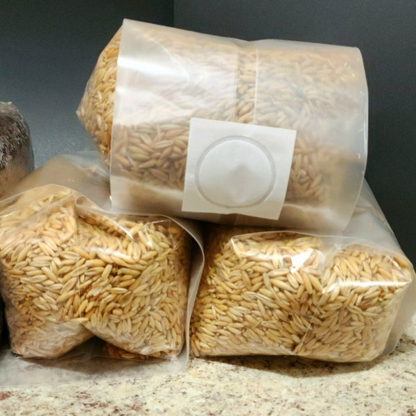 2lbs Sterilized whole oats| Mushroom grain bag| Substrate