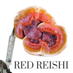 May include: A close-up of a red Reishi mushroom with a syringe. The mushroom has a vibrant red and orange color with a textured surface. The text "RED REISHI" is displayed in a bold, black font.